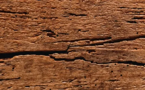 Old wood door finish sample