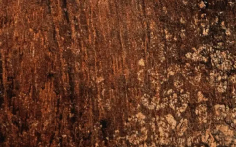 Retro wood door finish sample