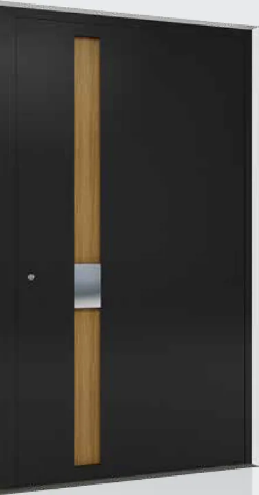 Aluminum entry door style: black with a wood strip