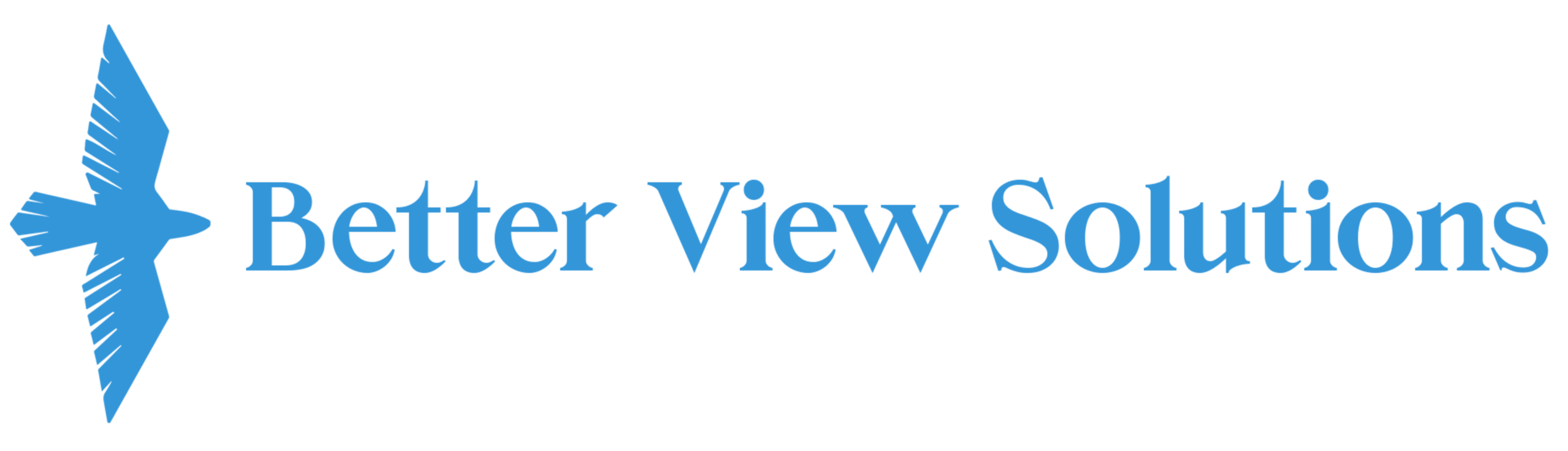 Better View Logo